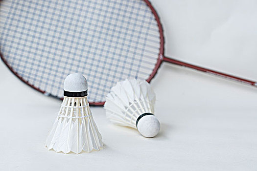 李泽露的夺 李泽露的夺