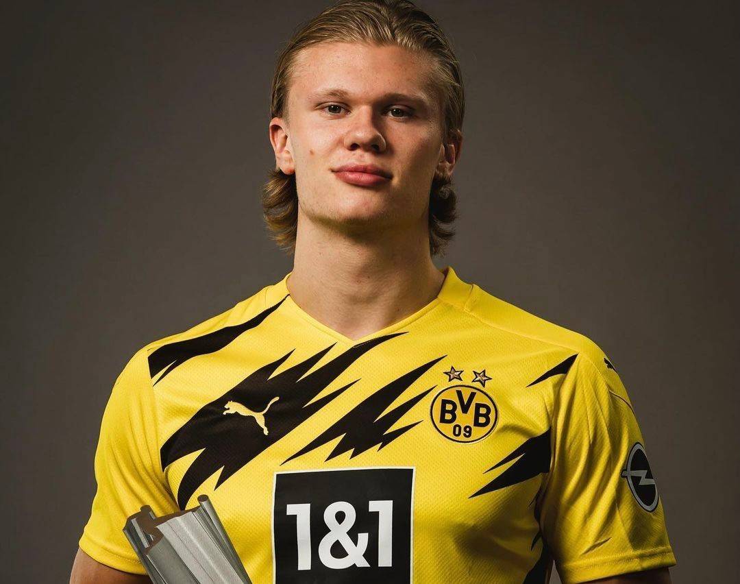 正评审中获 正评审中获