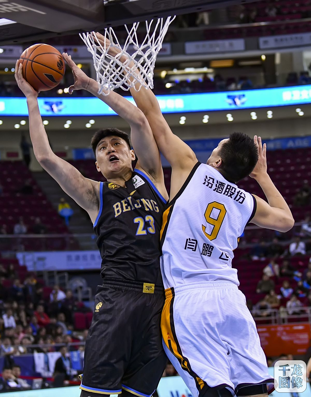 周度固定更 周度固定更